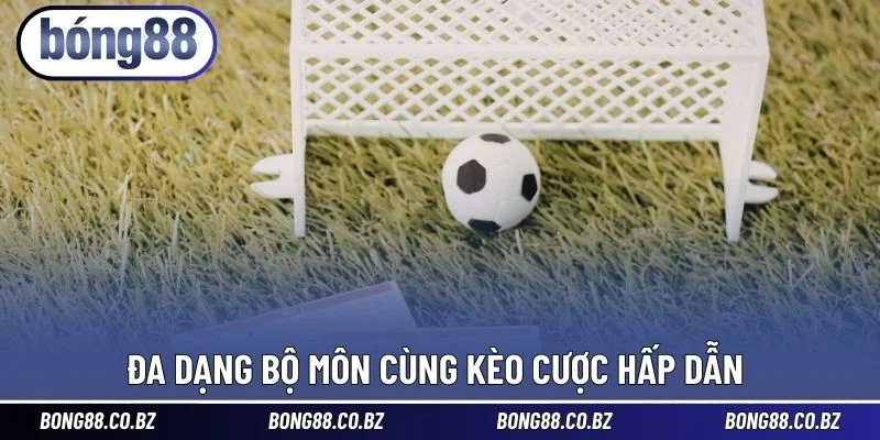 Đa dạng bộ môn với kèo chơi hấp dẫn 