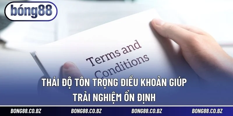 Thái độ tôn trọng điều khoản giúp trải nghiệm ổn định 