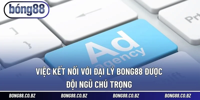 Việc kết nối với đại lý BONG88 được đội ngũ chú trọng
